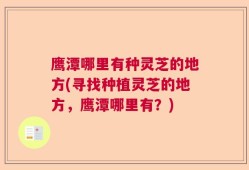 鹰潭哪里有种灵芝的地方(寻找种植灵芝的地方，鹰潭哪里有？)