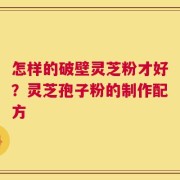 怎样的破壁灵芝粉才好？灵芝孢子粉的制作配方