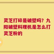 灵芝打碎是破壁吗？九阳破壁料理机是怎么打灵芝粉的