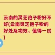云南的灵芝孢子粉好不好(云南灵芝孢子粉的好处及功效，值得一试)