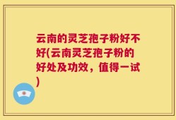 云南的灵芝孢子粉好不好(云南灵芝孢子粉的好处及功效，值得一试)
