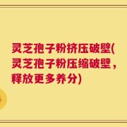灵芝孢子粉挤压破壁(灵芝孢子粉压缩破壁，释放更多养分)