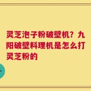 灵芝泡子粉破壁机？九阳破壁料理机是怎么打灵芝粉的