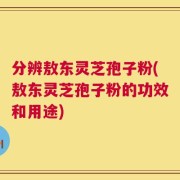 分辨敖东灵芝孢子粉(敖东灵芝孢子粉的功效和用途)