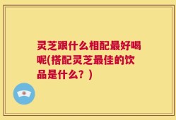 灵芝跟什么相配最好喝呢(搭配灵芝最佳的饮品是什么？)