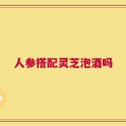 人参搭配灵芝泡酒吗