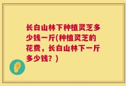 长白山林下种植灵芝多少钱一斤(种植灵芝的花费，长白山林下一斤多少钱？)