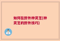 如何在野外种灵芝(种灵芝的野外技巧)