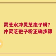 灵芝水冲灵芝孢子粉？冲灵芝孢子粉正确步骤