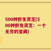 500种野生灵芝(500种野生灵芝：一个无穷的宝藏)