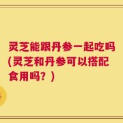 灵芝能跟丹参一起吃吗(灵芝和丹参可以搭配食用吗？)