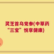 灵芝首乌党参(中草药“三宝”悦享健康)