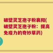 破壁灵芝孢子粉襄阳(破壁灵芝孢子粉：提高免疫力的奇妙草药)