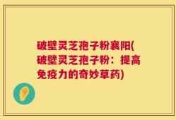 破壁灵芝孢子粉襄阳(破壁灵芝孢子粉：提高免疫力的奇妙草药)