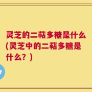 灵芝的二萜多糖是什么(灵芝中的二萜多糖是什么？)