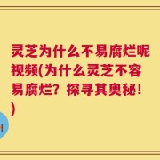 灵芝为什么不易腐烂呢视频(为什么灵芝不容易腐烂？探寻其奥秘！)