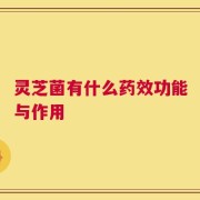 灵芝菌有什么药效功能与作用