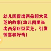 幼儿园冒出两朵超大灵芝的故事(幼儿园里长出两朵巨型灵芝，引发惊喜和好奇)