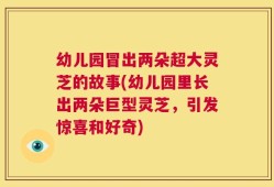 幼儿园冒出两朵超大灵芝的故事(幼儿园里长出两朵巨型灵芝，引发惊喜和好奇)