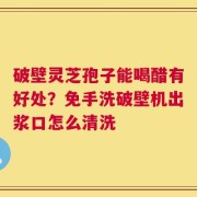 破壁灵芝孢子能喝醋有好处？免手洗破壁机出浆口怎么清洗