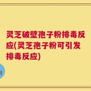 灵芝破壁孢子粉排毒反应(灵芝孢子粉可引发排毒反应)