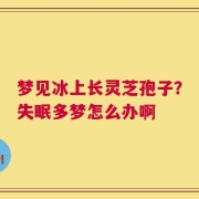 梦见冰上长灵芝孢子？失眠多梦怎么办啊