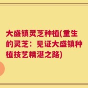 大盛镇灵芝种植(重生的灵芝：见证大盛镇种植技艺精湛之路)
