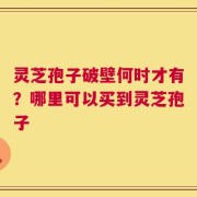 灵芝孢子破壁何时才有？哪里可以买到灵芝孢子