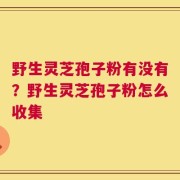 野生灵芝孢子粉有没有？野生灵芝孢子粉怎么收集