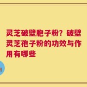 灵芝破壁胞子粉？破壁灵芝孢子粉的功效与作用有哪些