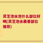 灵芝泡水泡什么部位好喝(灵芝泡水最香部位推荐)