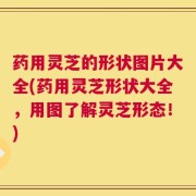 药用灵芝的形状图片大全(药用灵芝形状大全，用图了解灵芝形态！)