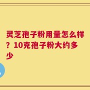 灵芝孢子粉用量怎么样？10克孢子粉大约多少