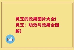 灵芝的效果图片大全(灵芝：功效与效果全图解)