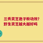 三秀灵芝孢子粉功效？野生灵芝越大越好吗