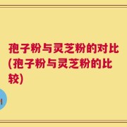 孢子粉与灵芝粉的对比(孢子粉与灵芝粉的比较)