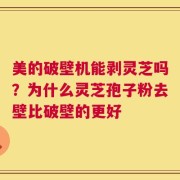 美的破壁机能剥灵芝吗？为什么灵芝孢子粉去壁比破壁的更好