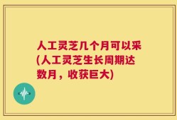 人工灵芝几个月可以采(人工灵芝生长周期达数月，收获巨大)
