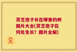 灵芝孢子长在哪里的啊图片大全(灵芝孢子在何处生长？图片全解)