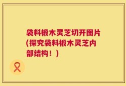 袋料椴木灵芝切开图片(探究袋料椴木灵芝内部结构！)