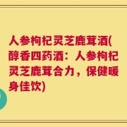 人参枸杞灵芝鹿茸酒(醇香四药酒：人参枸杞灵芝鹿茸合力，保健暖身佳饮)