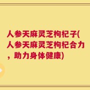 人参天麻灵芝枸杞子(人参天麻灵芝枸杞合力，助力身体健康)