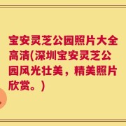 宝安灵芝公园照片大全高清(深圳宝安灵芝公园风光壮美，精美照片欣赏。)