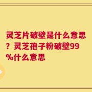 灵芝片破壁是什么意思？灵芝孢子粉破壁99%什么意思