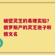 破壁灵芝的毒理实验？俄罗斯产的灵芝孢子粉俄文名