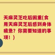 天麻灵芝吃后困重(食用天麻灵芝后感到身体疲惫？你需要知道的事项！)