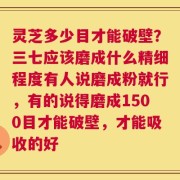 灵芝多少目才能破壁？三七应该磨成什么精细程度有人说磨成粉就行，有的说得磨成1500目才能破壁，才能吸收的好