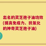 出名的灵芝孢子油功效(提高免疫力、抗氧化的神奇灵芝孢子油)