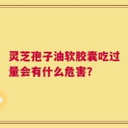 灵芝孢子油软胶囊吃过量会有什么危害？