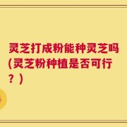 灵芝打成粉能种灵芝吗(灵芝粉种植是否可行？)